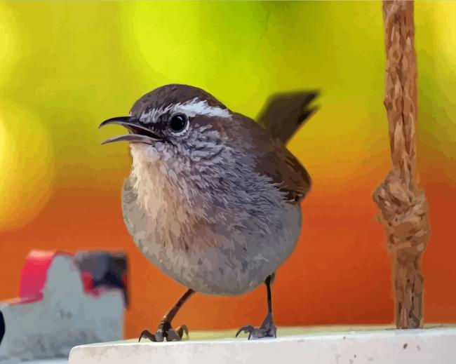 Aesthetic California Wren Diamond Paintings