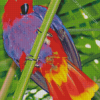 Aesthetic Eclectus Parrot Diamond Paintings