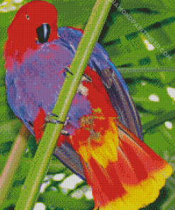 Aesthetic Eclectus Parrot Diamond Paintings