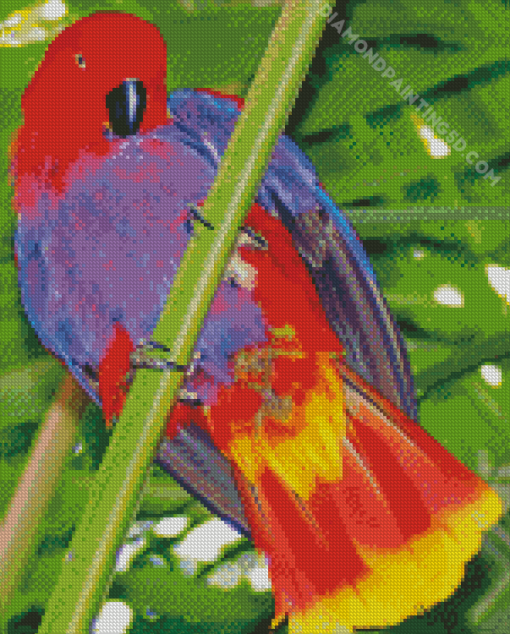 Aesthetic Eclectus Parrot Diamond Paintings