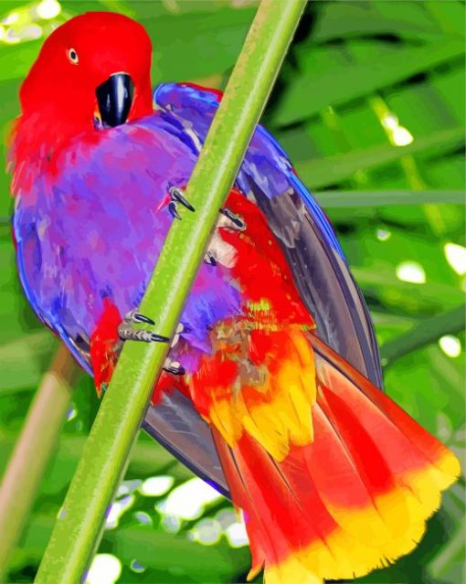 Aesthetic Eclectus Parrot Diamond Paintings