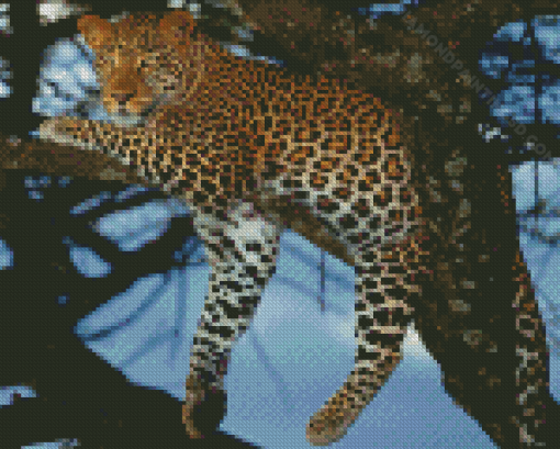 Aesthetic Wild Leopard Diamond Paintings