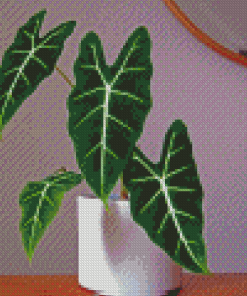 Alocasia Frydek Plant Diamond Paintings