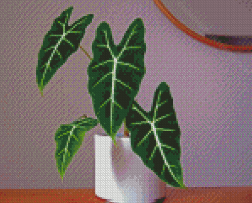 Alocasia Frydek Plant Diamond Paintings