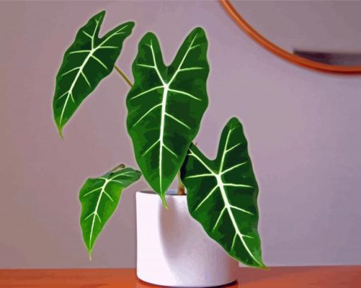 Alocasia Frydek Plant Diamond Paintings