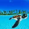 Baby Sea Turtle Underwater Diamond Paintings