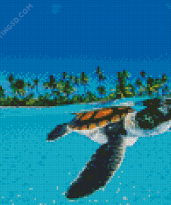 Baby Sea Turtle Underwater Diamond Paintings