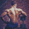 Big Back Muscles Diamond Paintings