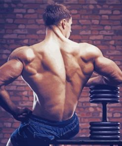 Big Back Muscles Diamond Paintings