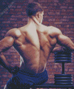 Big Back Muscles Diamond Paintings