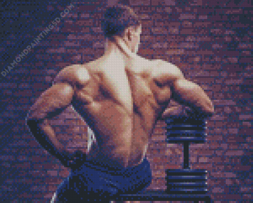 Big Back Muscles Diamond Paintings