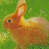 Brown Cute Baby Bunny Diamond Paintings