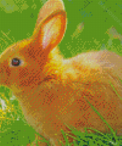 Brown Cute Baby Bunny Diamond Paintings