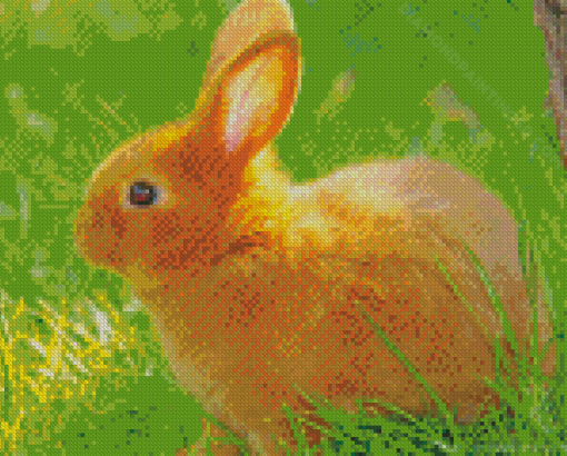 Brown Cute Baby Bunny Diamond Paintings