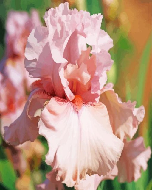 Close Up Pink Iris Flower Diamond Paintings