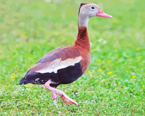 Cute Whistling Duck Diamond Paintings