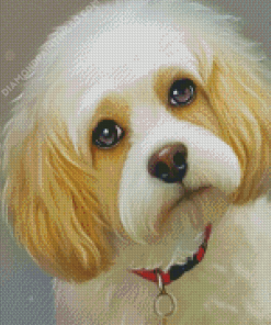 Cute Cavachon Dog Diamond Paintings