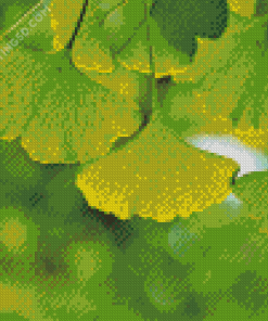 Ginkgo Biloba Leaves Diamond Paintings