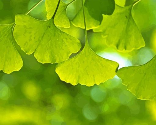 Ginkgo Biloba Leaves Diamond Paintings