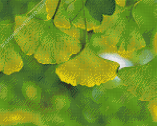 Ginkgo Biloba Leaves Diamond Paintings