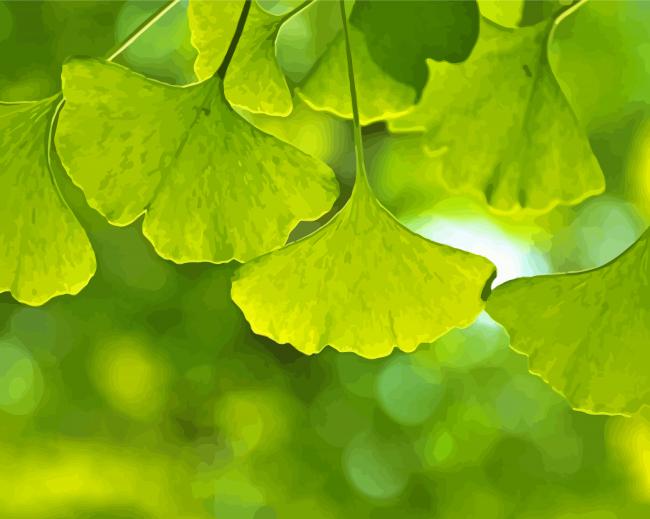 Ginkgo Biloba Leaves Diamond Paintings