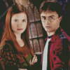 Harry And Ginny Weasley Diamond Paintings