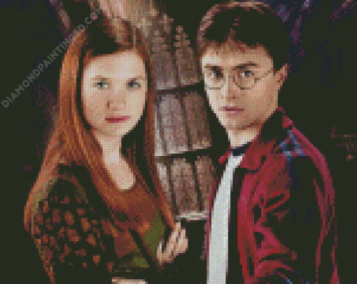 Harry And Ginny Weasley Diamond Paintings