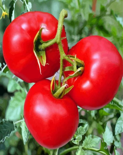 Manalucie Tomato Plant Diamond Paintings