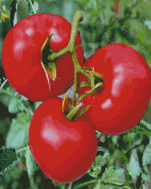 Manalucie Tomato Plant Diamond Paintings