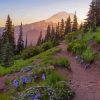 Pacific Crest Trail National Park Diamond Paintings