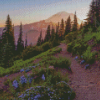 Pacific Crest Trail National Park Diamond Paintings