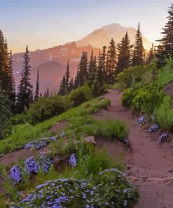 Pacific Crest Trail National Park Diamond Paintings