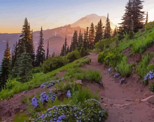 Pacific Crest Trail National Park Diamond Paintings