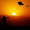 Playing Kites Silhouette Diamond Paintings