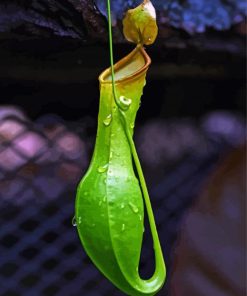 Slender Pitcher Plant Diamond Paintings