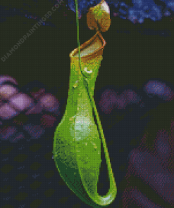 Slender Pitcher Plant Diamond Paintings