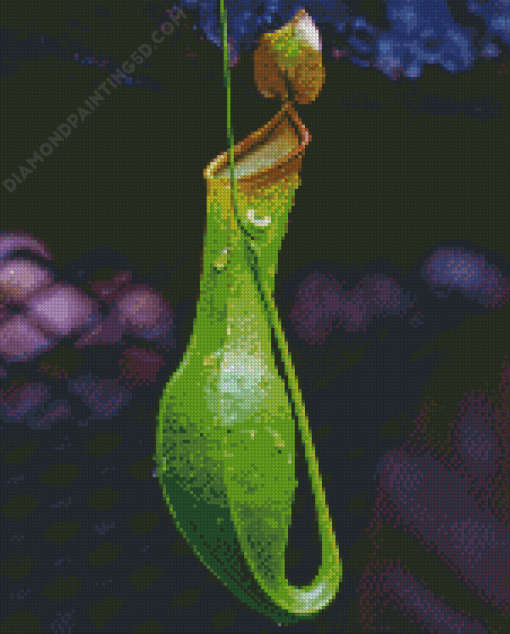 Slender Pitcher Plant Diamond Paintings