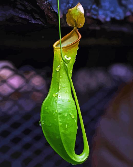 Slender Pitcher Plant Diamond Paintings