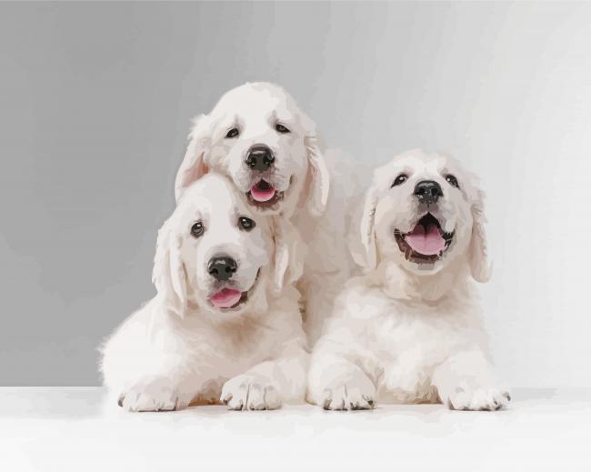 White English Golden Retriever Diamond Paintings