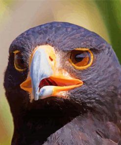 African Black Eagle Head Diamond Paintings