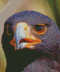 African Black Eagle Head Diamond Paintings