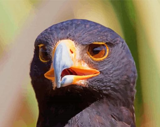 African Black Eagle Head Diamond Paintings