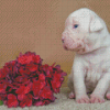 American Bulldog Puppy And Flowers Diamond Paintings