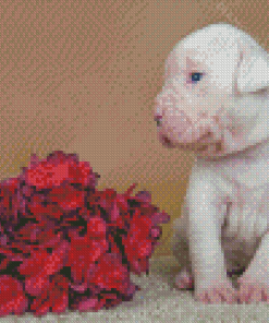 American Bulldog Puppy And Flowers Diamond Paintings