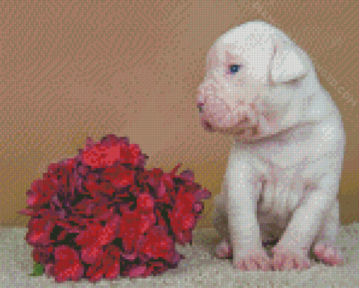 American Bulldog Puppy And Flowers Diamond Paintings