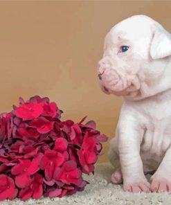 American Bulldog Puppy And Flowers Diamond Paintings