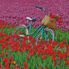 Bicycle And Tulip Field Diamond Paintings