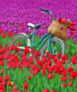 Bicycle And Tulip Field Diamond Paintings