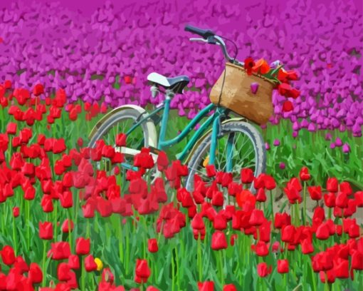 Bicycle And Tulip Field Diamond Paintings