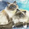 Birman Cats Diamond Paintings